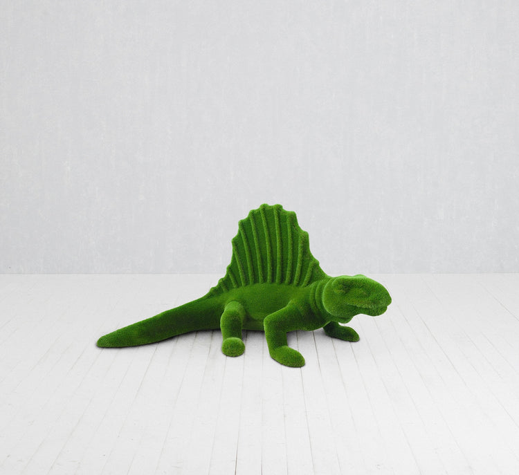 Small Dimetrodon