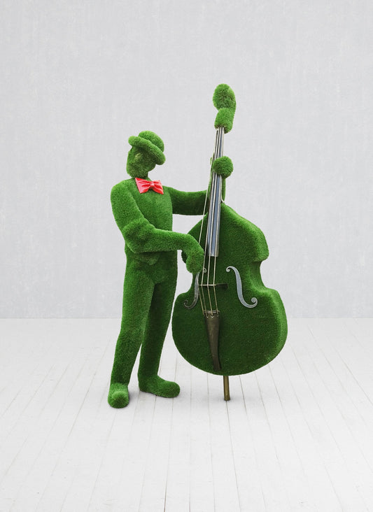 Man With A Contrabass