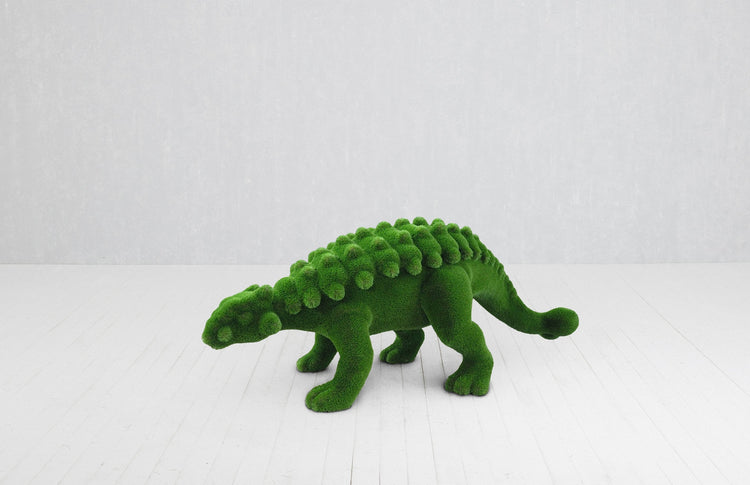 Small Ankylosaurus