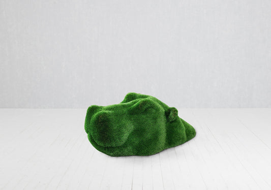 Small Swimming Hippo