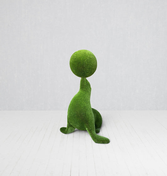 Seal With A Ball