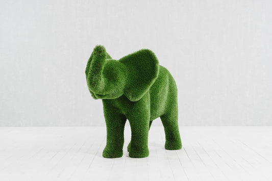 Small Elephant