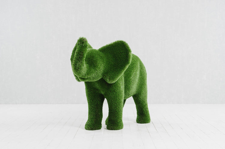 Small Elephant